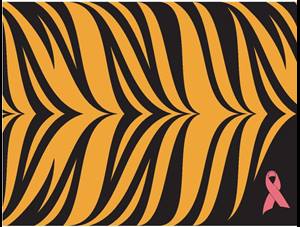 emerson-carpet-one-floor-home-baton-rouge-welcome-mats-tiger