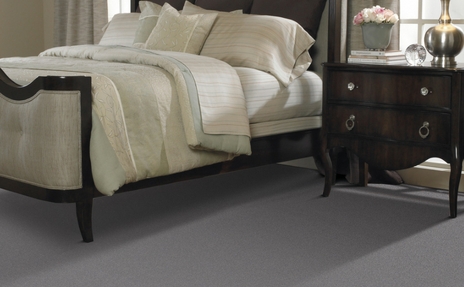 Carpet Trends